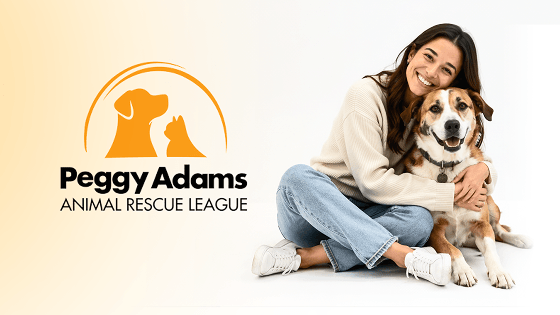 Peggy Adams Animal Rescue League meets community needs with Jotform Enterprise