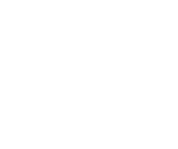 Sabre Image