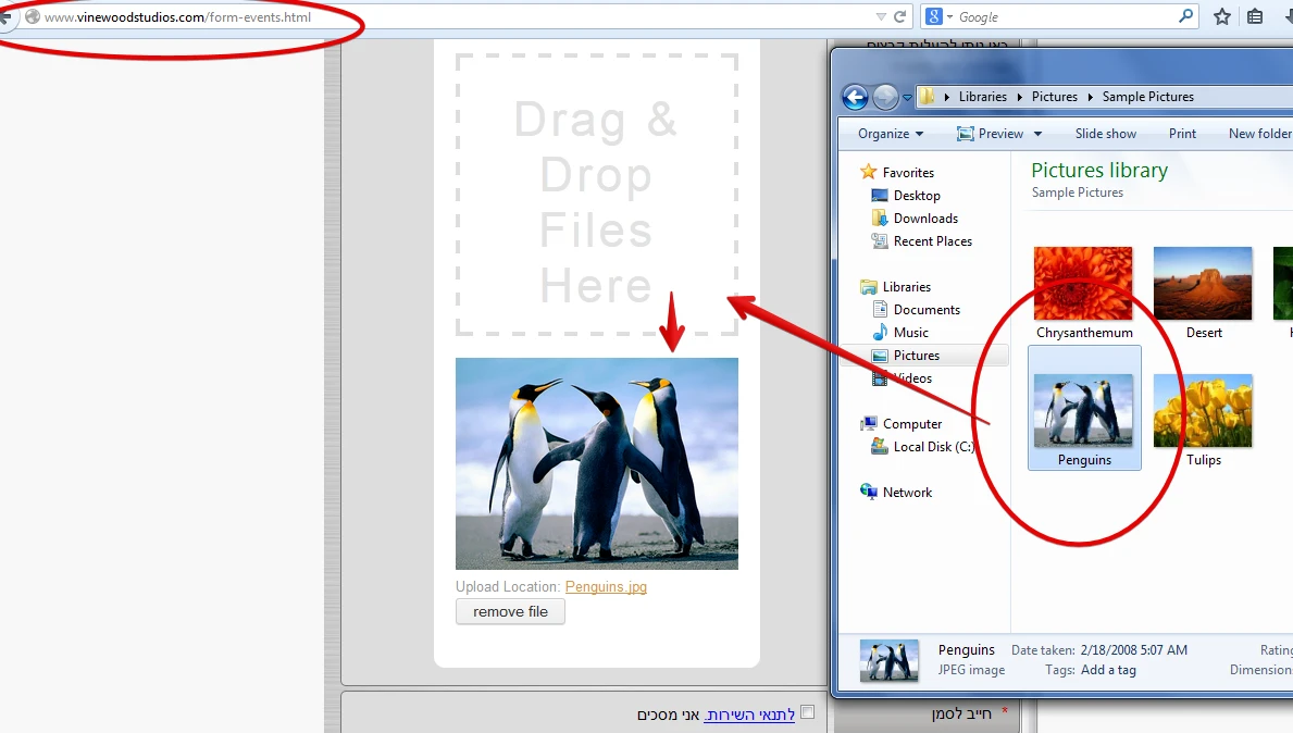 Drag and Drop Widget not working on old IE version Image 1 Screenshot 30