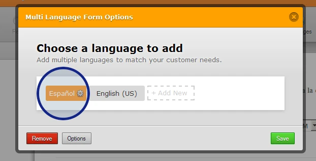 Set Spanish language as the default when the jotform is shown Image 2 Screenshot 41