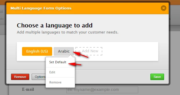 Form Disabled: Arabic language form Image 4 Screenshot 113