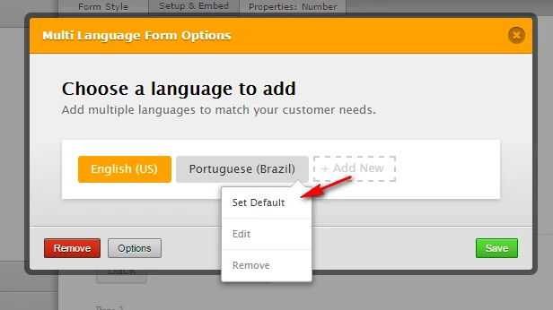 Form disabled/Not available: Form in Portuguese language Image 4 Screenshot 113