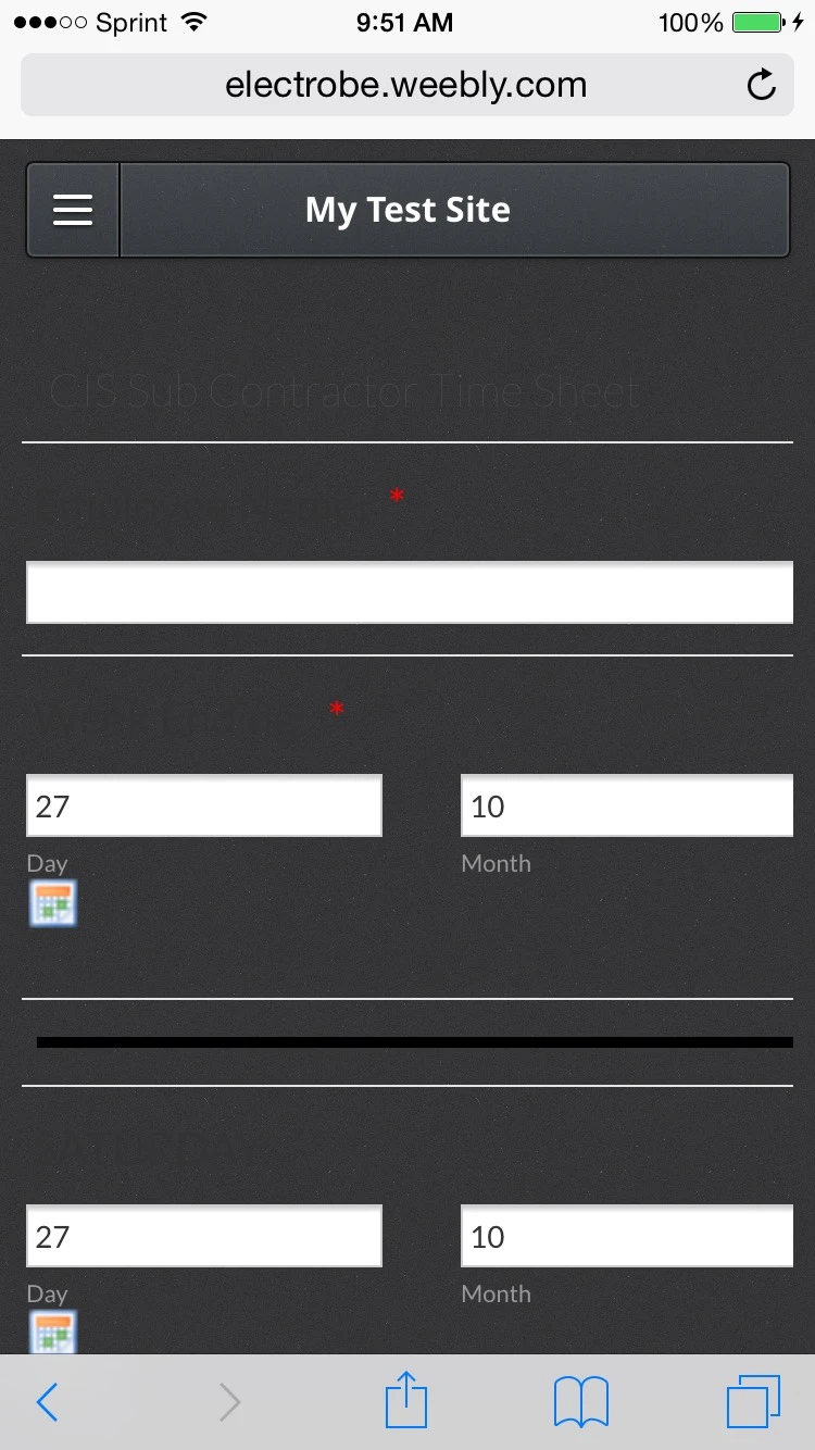 JotForm does not display correctly on iPhone Image 2 Screenshot 41