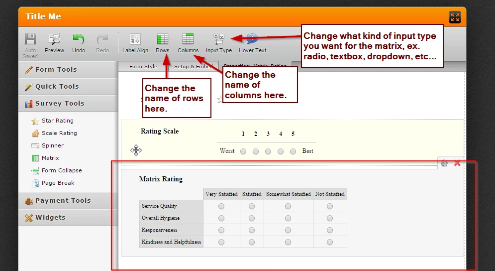 Ranking system or survey scale on form builder? Image 2 Screenshot 41