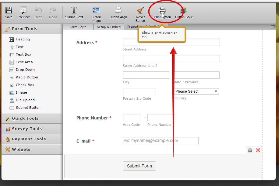 I want to add the print function to my form, but I don;t see the Properties Button Screenshot 20
