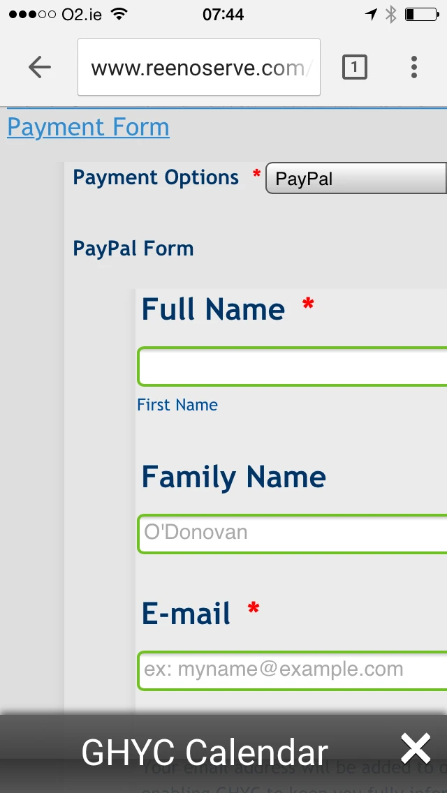 How to make form responsive when following the multiple payment options guide? Image 4 Screenshot 83