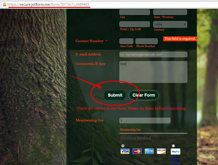 No Submit button showing on my form Image 1 Screenshot 20