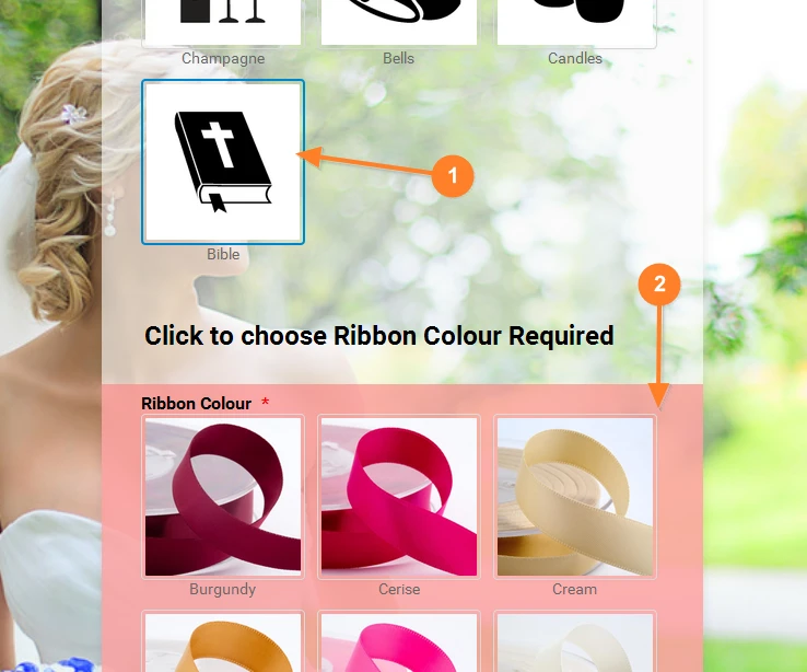 Image Picker   No indication of error (eg red box around) when not selected (but required) Image 3 Screenshot 62
