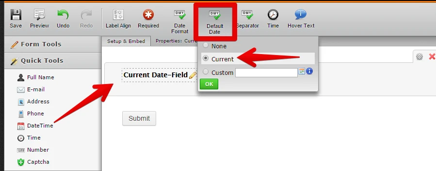 Populate Hidden Date Field With Current Year Image 1 Screenshot 30
