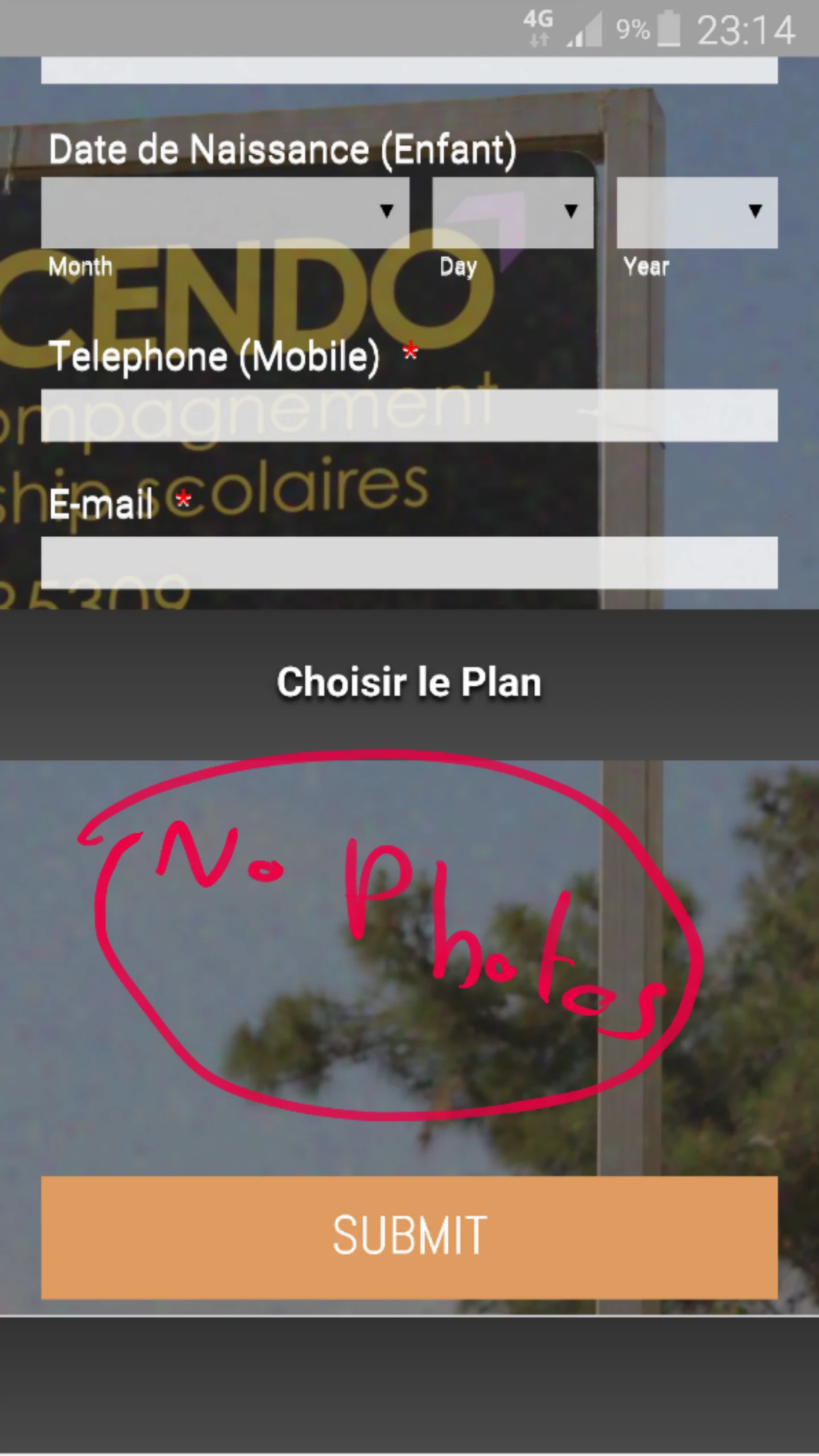 Image radio widget not showing images on mobile Image 1 Screenshot 30