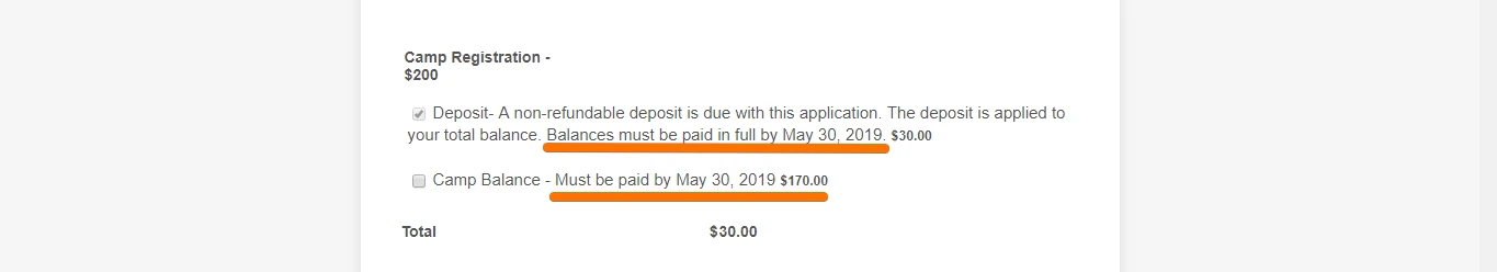 How can I make payment for the form I submitted before? Image 21