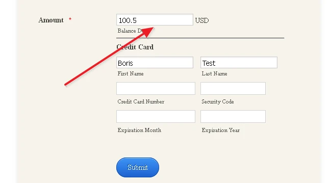 How to make the amount due field of a payment tool wider? Image 3 Screenshot 62