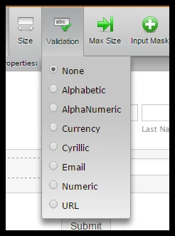 How can I add my own validation to the form Image 1 Screenshot 30