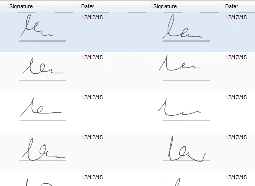 Can the submission form show the signature? Image 1 Screenshot 40