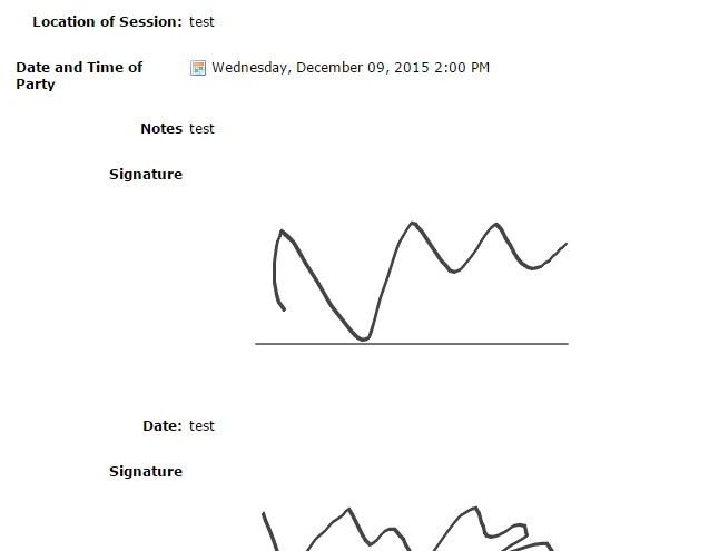 Can the submission form show the signature? Image 2 Screenshot 51