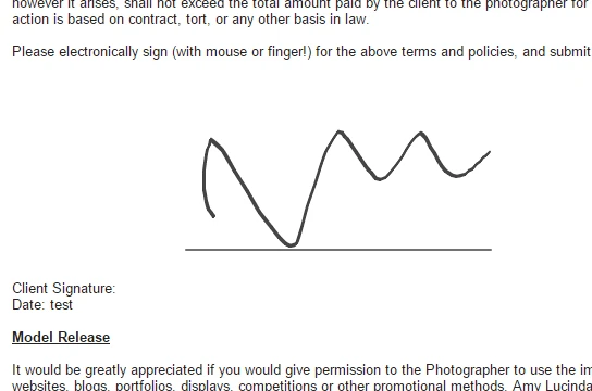 Can the submission form show the signature? Image 3 Screenshot 62