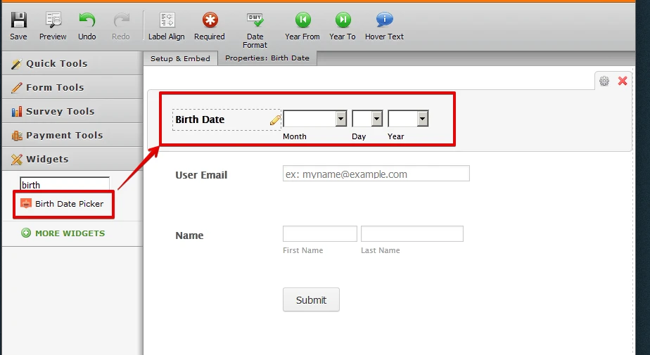 how do insert a date of birth field Image 1 Screenshot 20