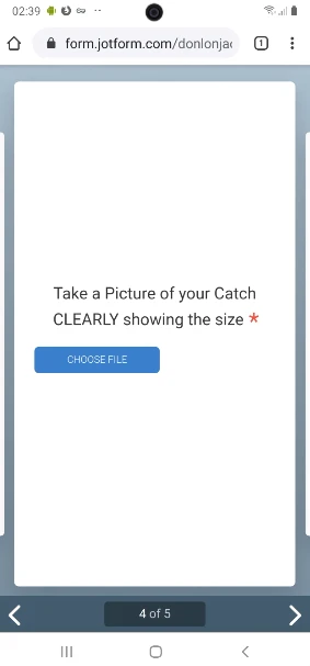 Restrict Take Photo widget to only take real time photo instead of having an option to upload a file Image 21