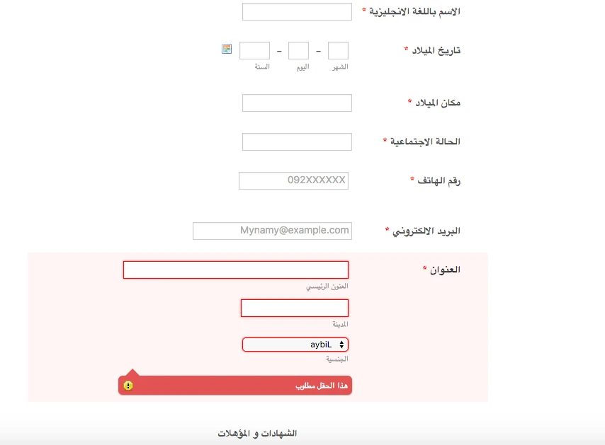 Can I Just change RTL in just the arabic form? Image 2 Screenshot 41