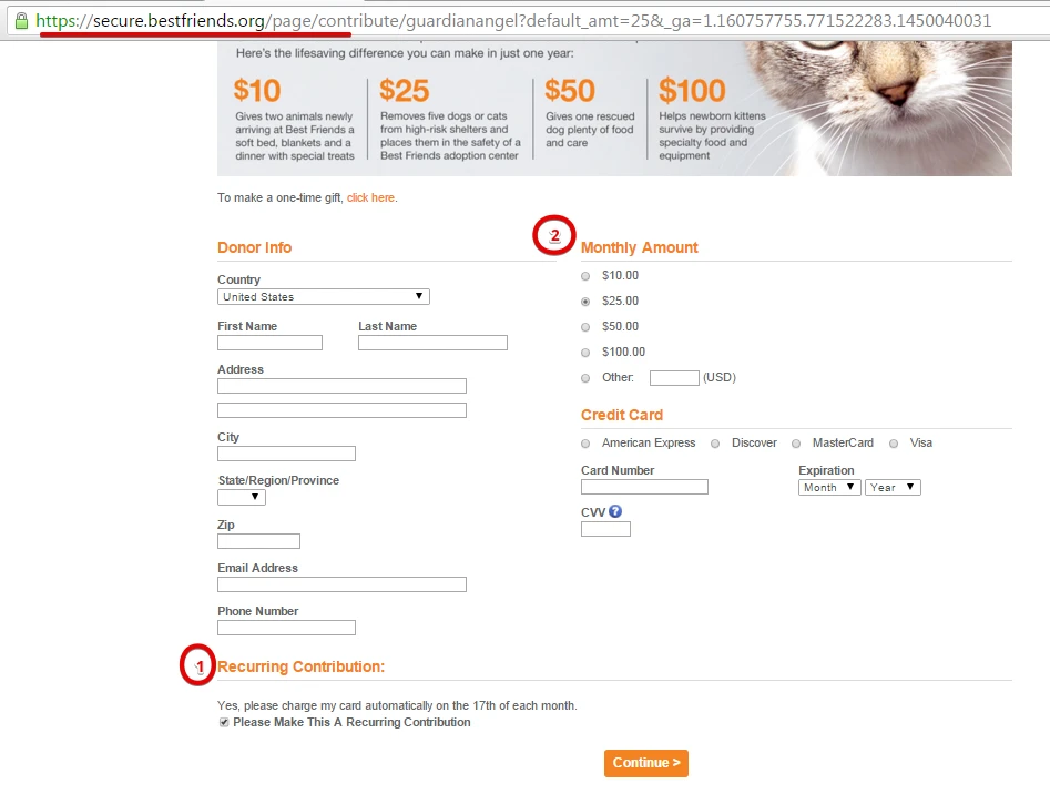 How to have a Recurring Donation Amount Payment options using Payment Tools Image 1 Screenshot 30