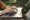 AIはGoogleフォームを作成できるのか？