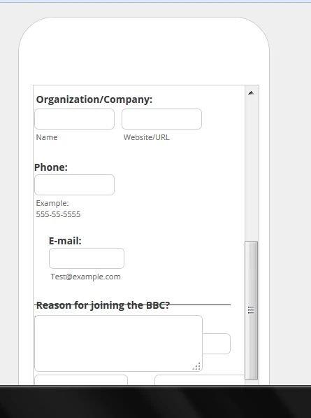 Why some fields are not being displayed inline when viewing the form in mobile devices?  Image 1 Screenshot 20