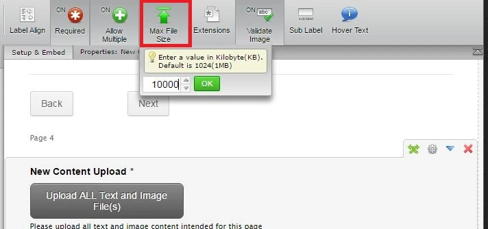 File Upload field: File size error message Image 1 Screenshot 20