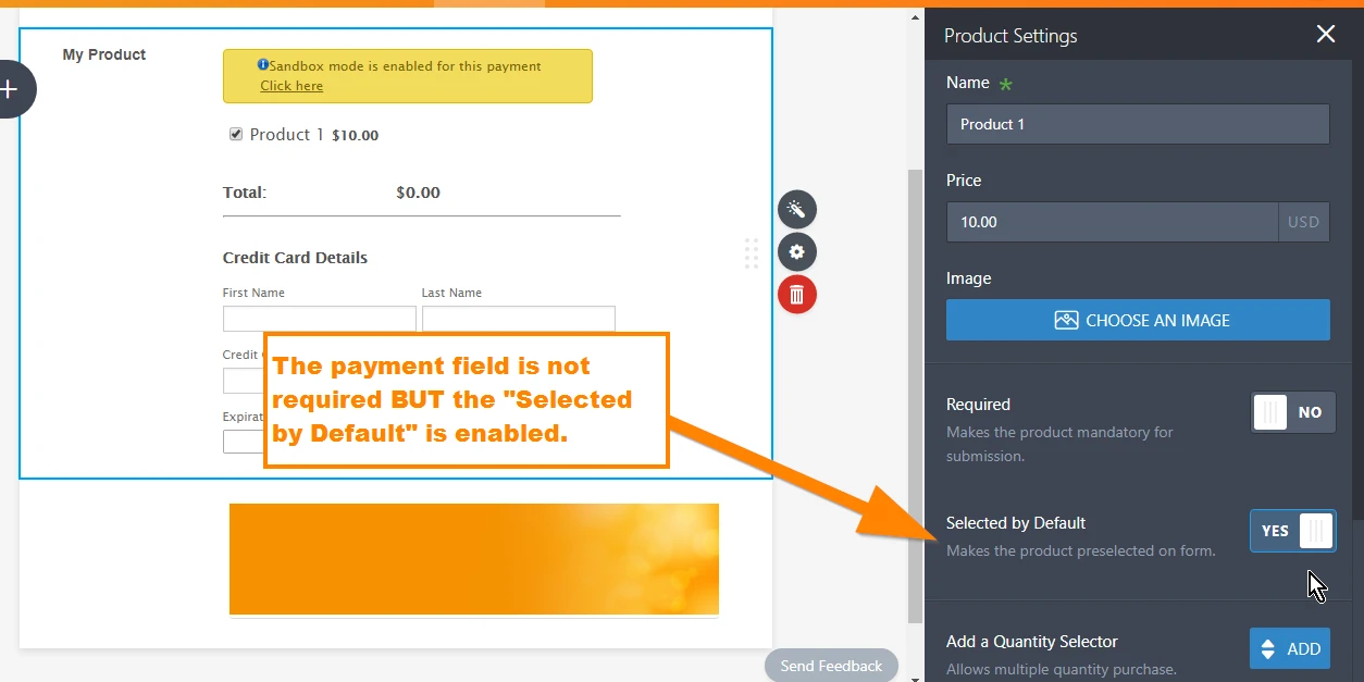 Payment Field: Image button disappears if validation error triggers Image 1 Screenshot 50