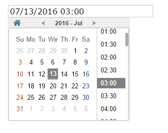 Is there a calendar widget where a customer can choose a date as well as a time? Image 1 Screenshot 20