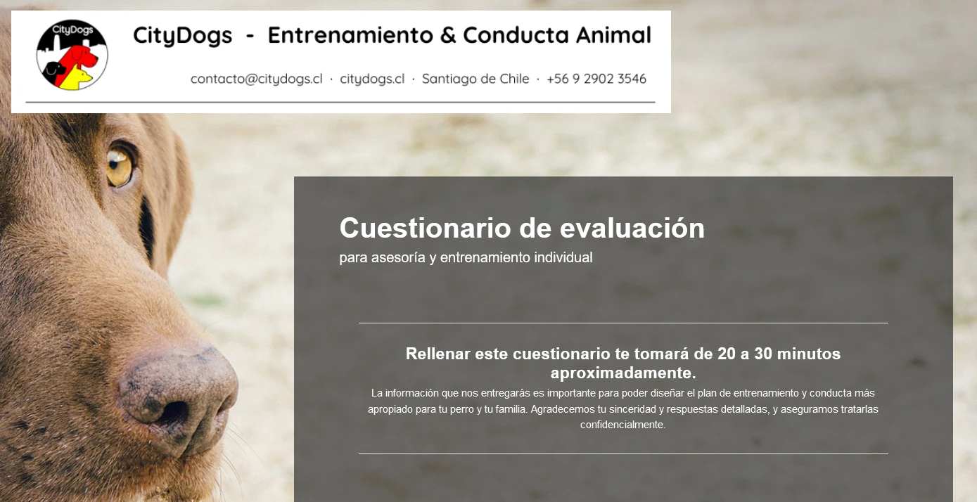 Jotform Thread 23544541 Screenshot