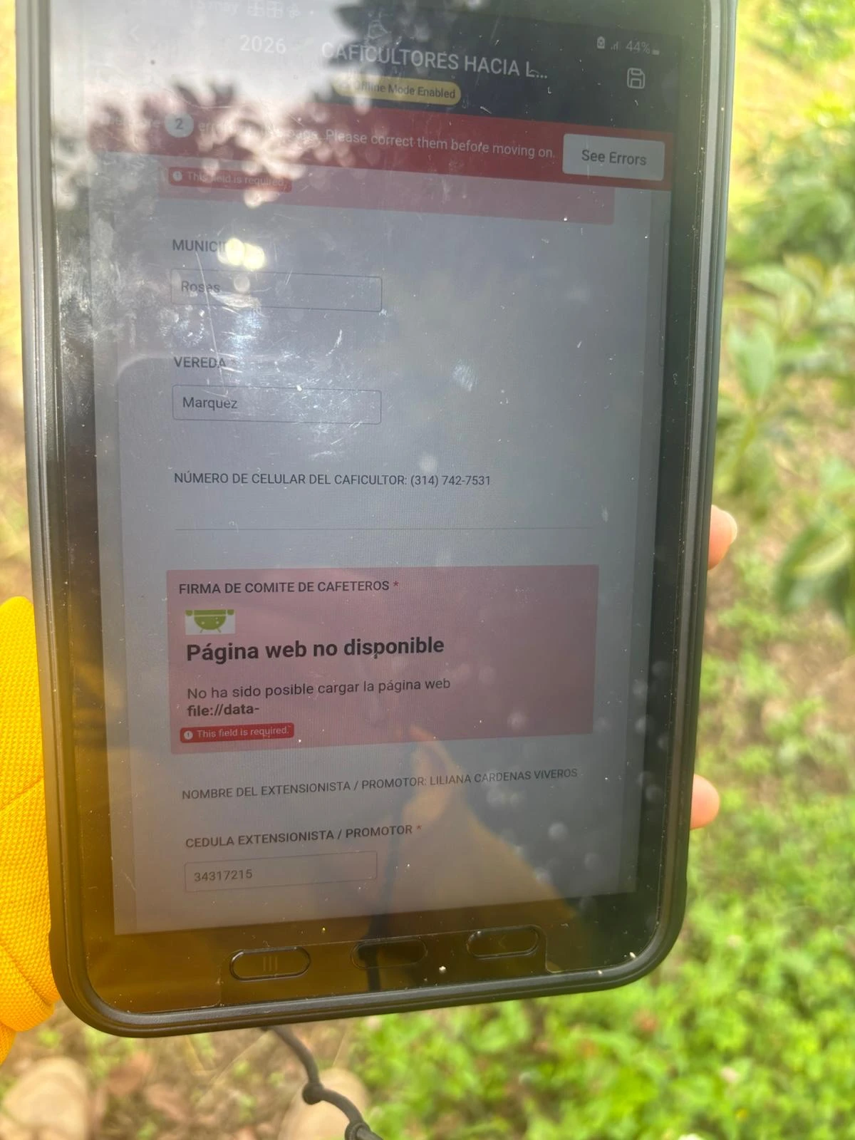 Jotform Thread 38480551 Screenshot
