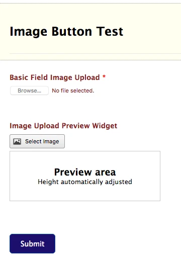 How can I customize File Upload Buttons? Image 1 Screenshot 20