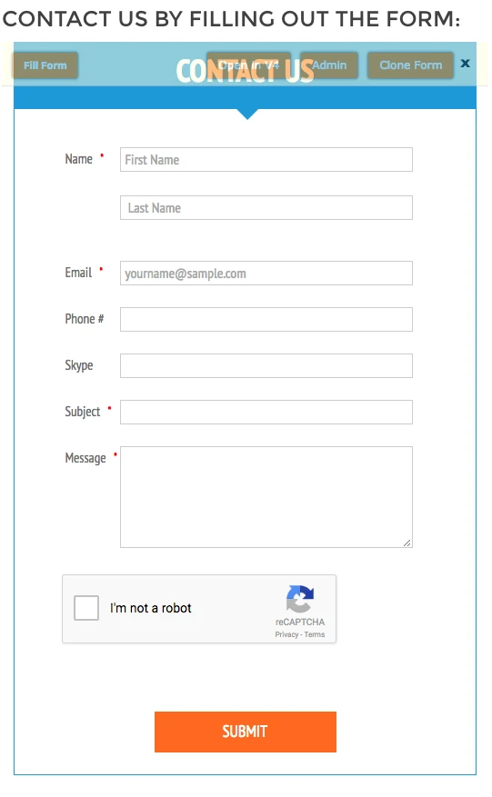 Why is my form not showing correctly on the website? Image 1 Screenshot 20