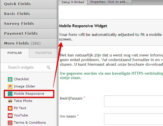 How can I make my form responsive? Image 2 Screenshot 41