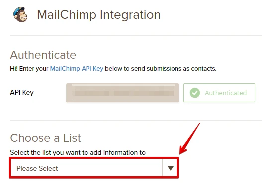 Your Mailchimp integration is not working Image 1 Screenshot 20