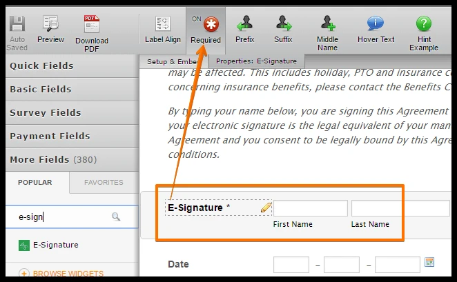 Enter Button   Submitting the Form Image 1 Screenshot 20