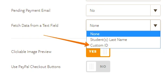 PayPal: How do I set a custom field in the new payment wizard?  Image 1 Screenshot 20