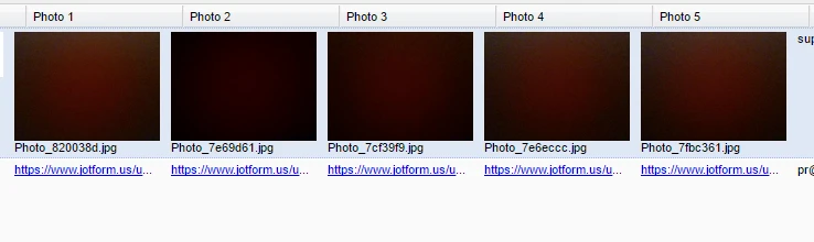 Uploaded Pictures are no longer printing on form; just the link Screenshot 20