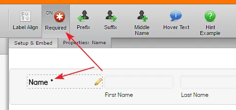 How do I make the form fields mandatory/required? Image 1 Screenshot 30