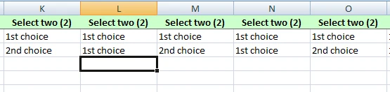 Matrix field on the form is not displaying data when exported to Excel Image 1 Screenshot 20