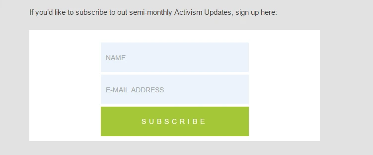 I keep getting blank subscription forms from my website Screenshot 40