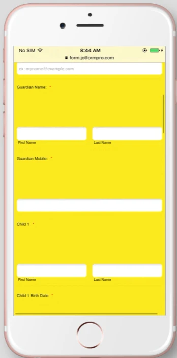 Why Booking form is not working on iPhone? Image 1 Screenshot 20