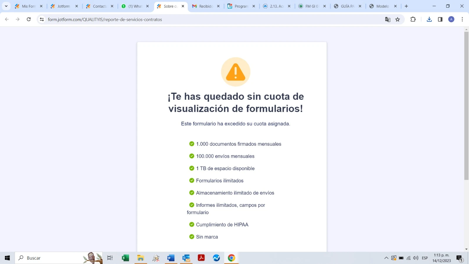 Jotform Thread 10040731 Screenshot