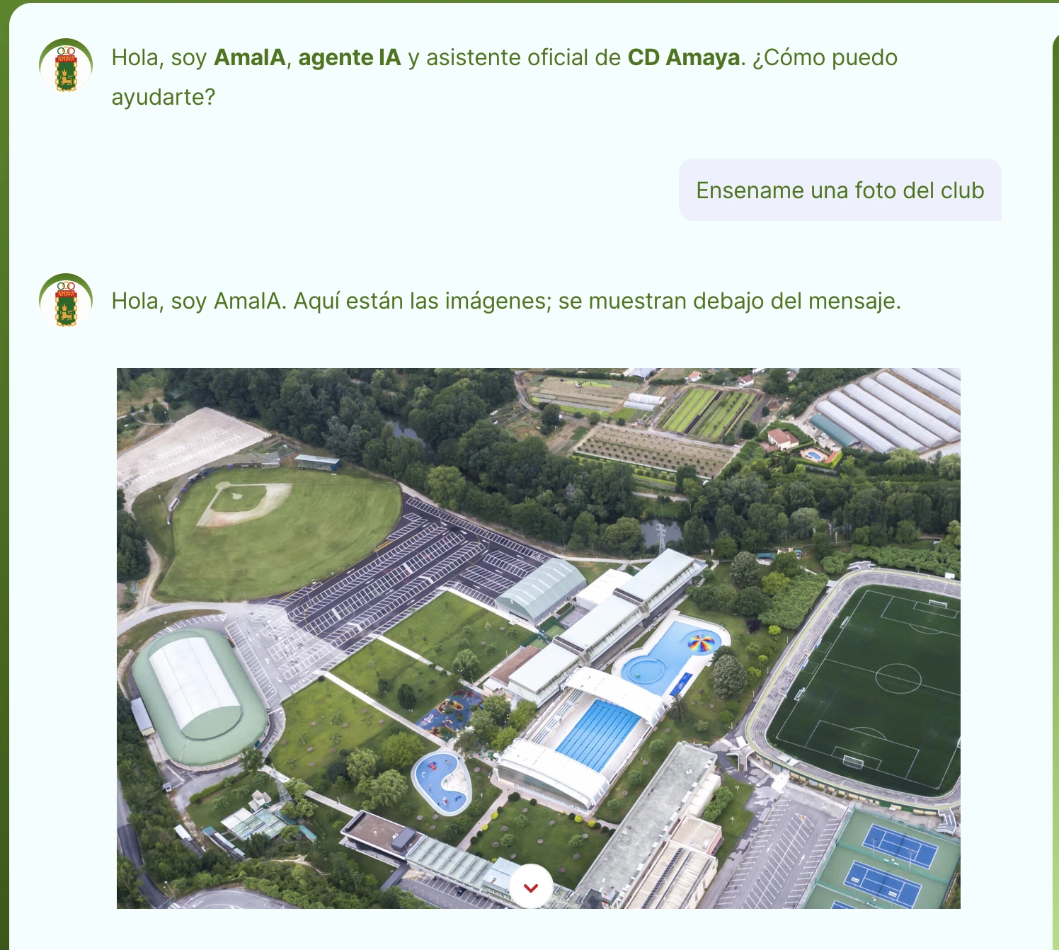 Spanish agent replies in English Image 1 Screenshot 20