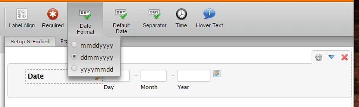 Excel Report: Does the date field export in the same format it is set up in the form?  Image 1 Screenshot 60