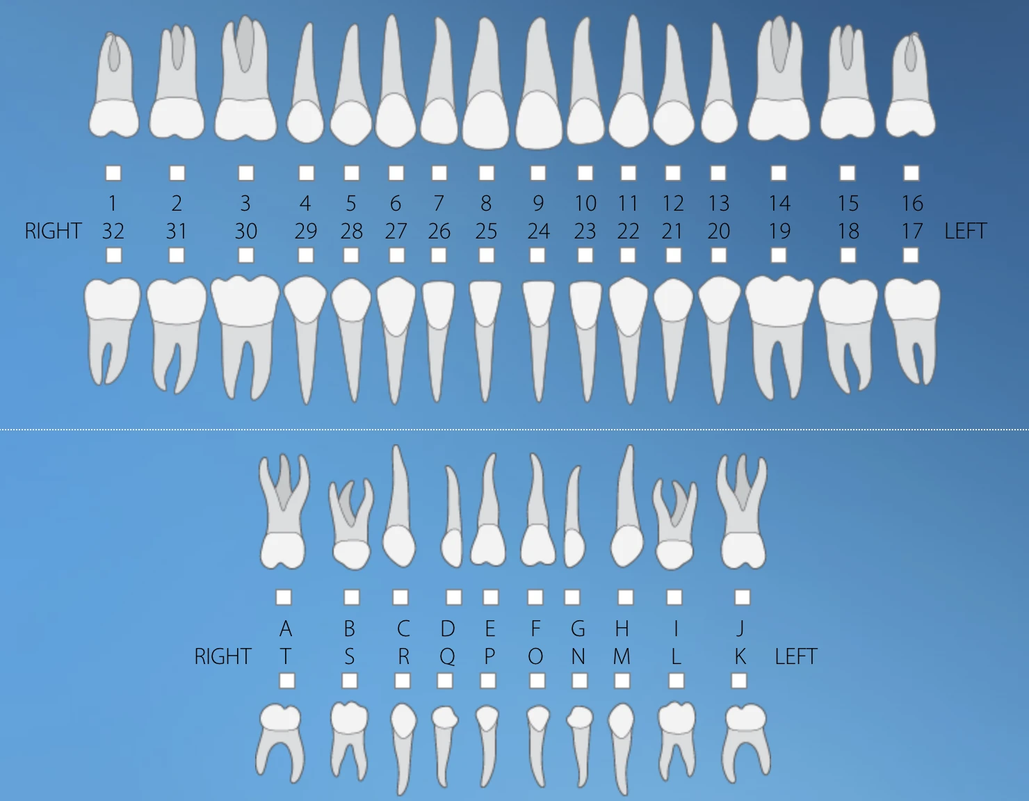 Jotform Thread 37847241 Screenshot