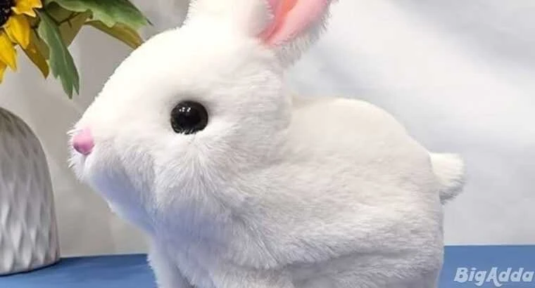 Jotform Thread 36856211 Screenshot