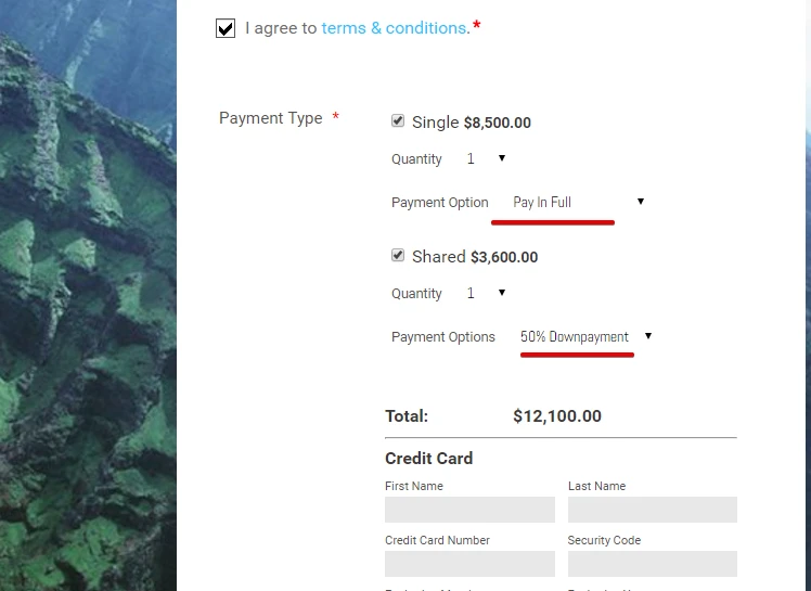 How do I give my customers a 50% downpayment upfront and the remaining balance in stagard option Image 1 Screenshot 20