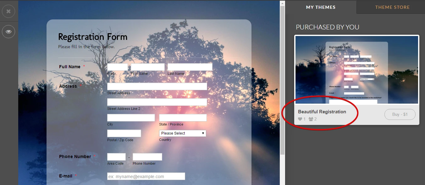 How can I use the form theme I bought Image 1 Screenshot 20