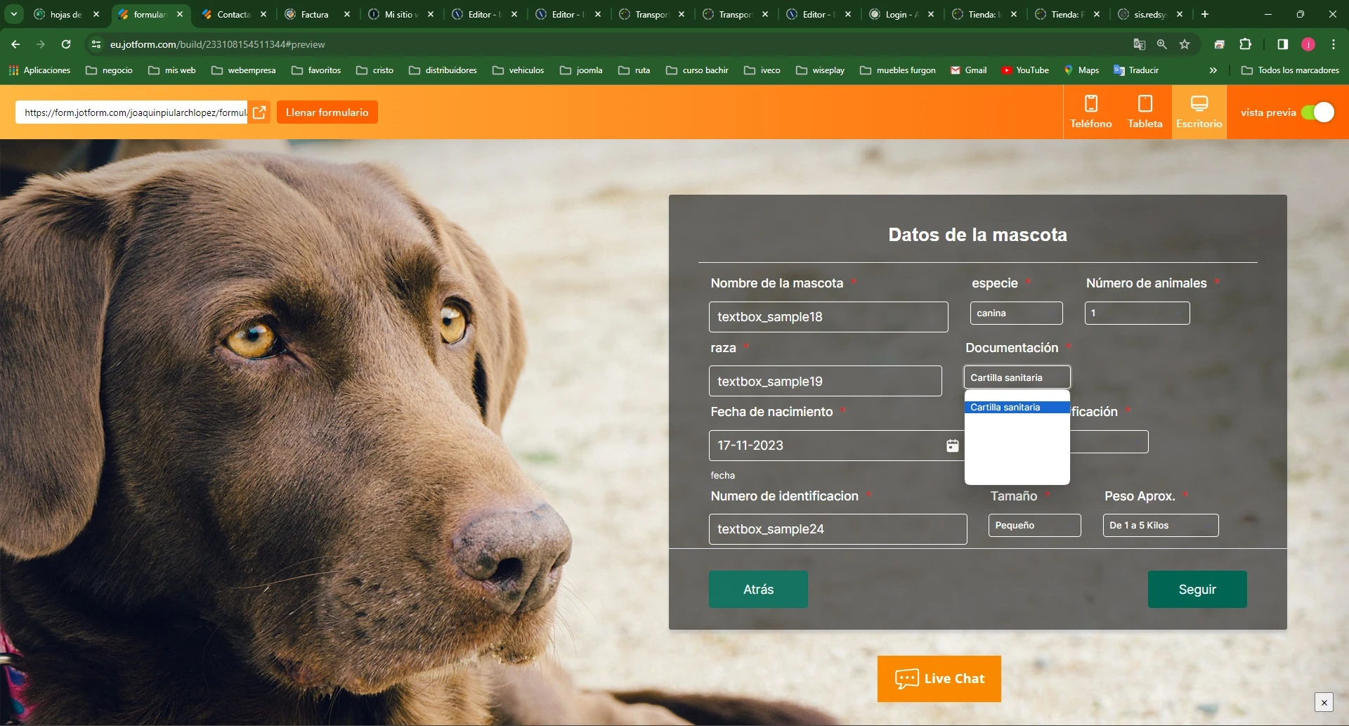 Jotform Thread 9233841 Screenshot